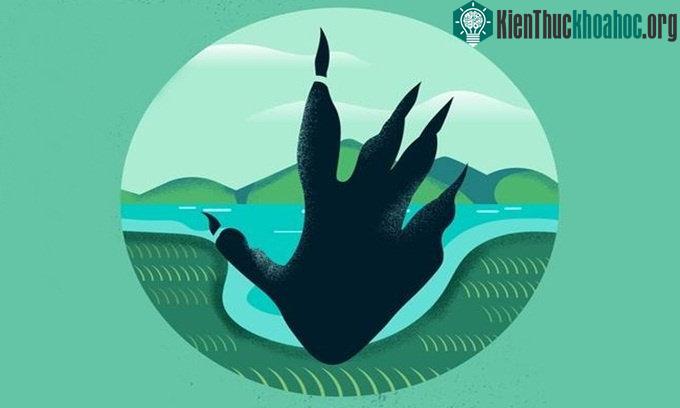 Dấu chân rồng Komodo