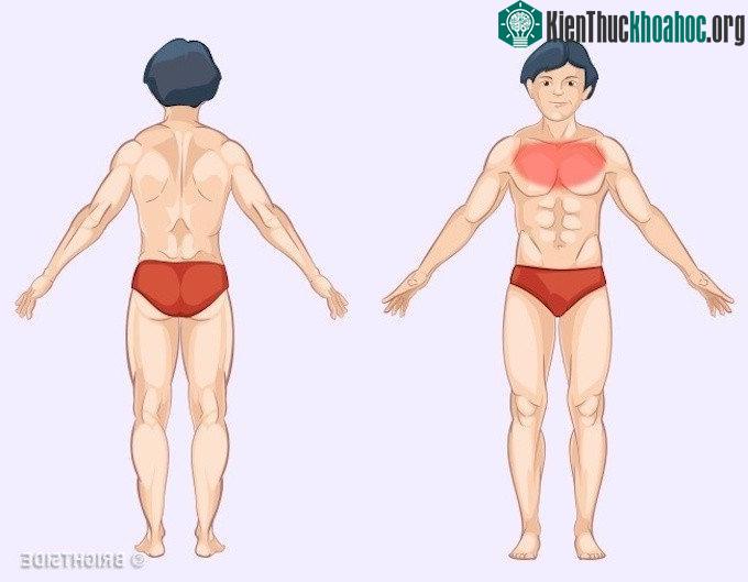 Trường hợp phổi bất thường sẽ dẫn đến cơn đau nhói ở ngực và ho, khó thở.