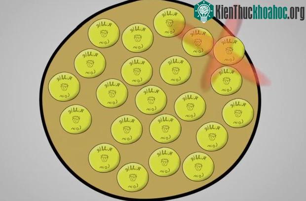 Nếu bị say xe bạn không nên ngồi ở ghế phía sau.