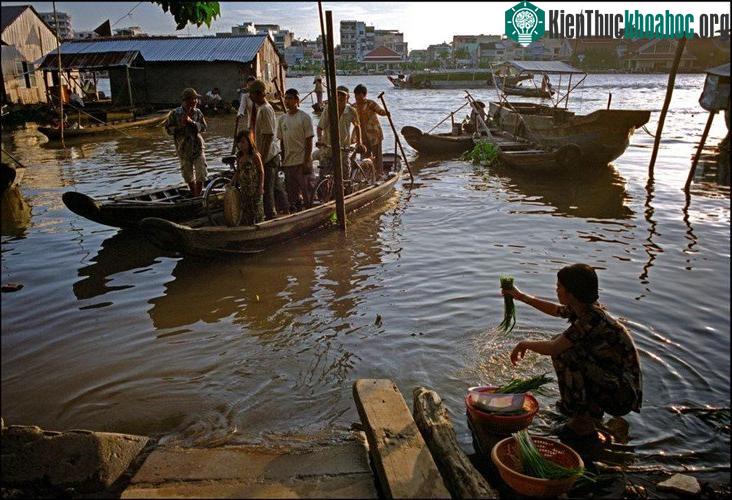 Người phụ nữ rửa rau tại một bến đò ở Phong Điền.