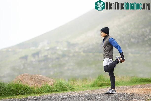 Ít nhất khi so sánh giữa các loài linh trưởng, kích thước dương vật của con người là lớn nhất.