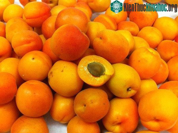 Loại quả này có ruột như mận và mùi như quả mơ.