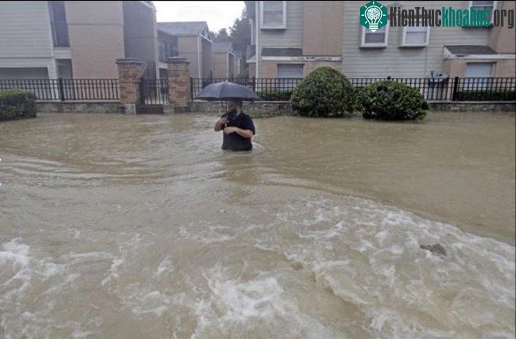 Một người dân đang lội giữa dòng lũ.