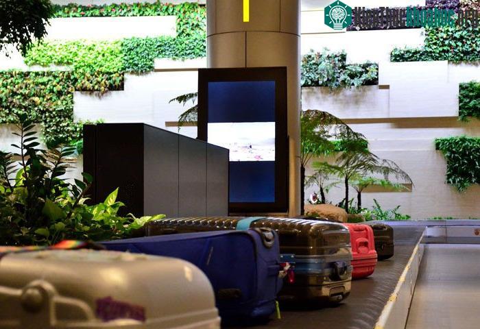 Ý tưởng Nhà ga T4 được đưa ra với tầm nhìn thay đổi quan niệm đi lại.