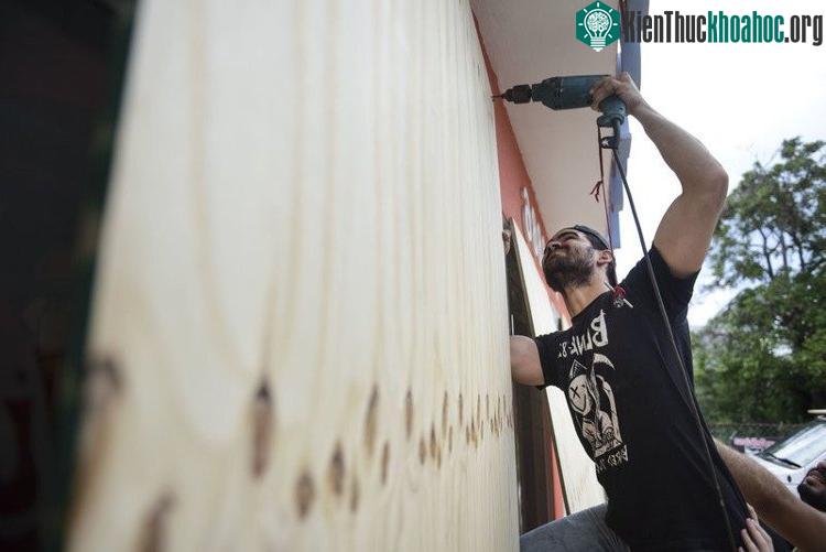 Một người dân đang gia cố cửa sổ với các thanh gỗ ép.