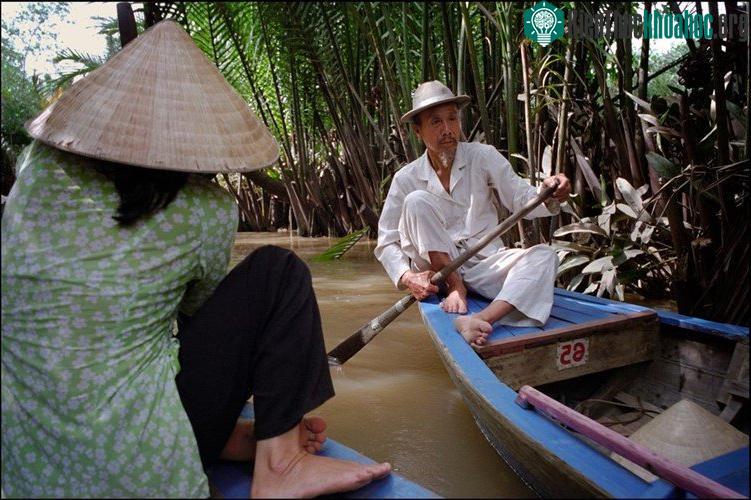 Rừng dừa nước ở các cù lao trên sông Tiền, gần Mỹ Tho.