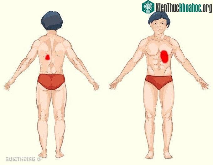 Nếu bị bệnh gan, bạn còn dễ bị vàng da và cảm giác chua trong miệng.