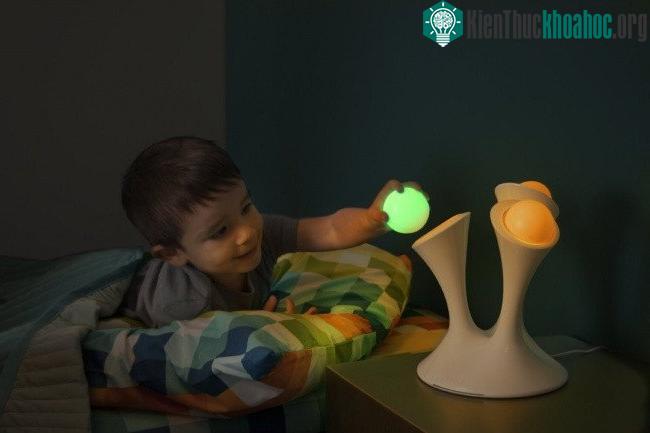 Bóng đèn cầm tay