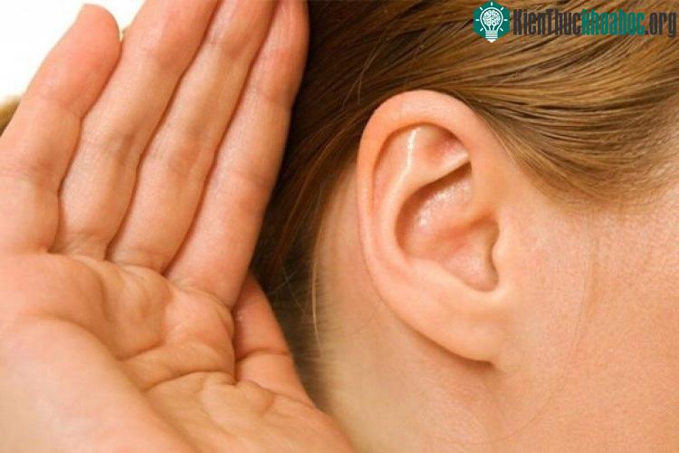 Các nhà khoa học mới đây đã có bước tiến mới trong việc chữa trị cho người khiếm thính bằng liệu pháp gene.