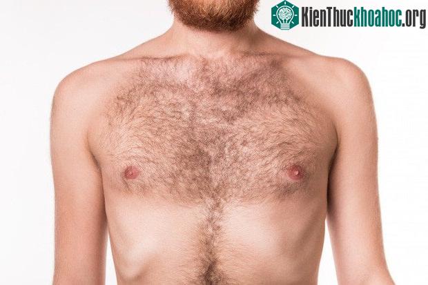 Rất nhiều bộ phận cơ thể chúng ta sẽ "tiêu tan" trong tương lai, và đó là... ảnh 0