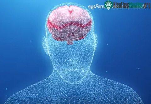 Hội chứng thần kinh này được gọi là hyperthymesia - hội chứng trí nhớ siêu phàm.