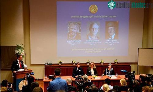 Khoảnh khắc hội đồng công bố giải Nobel Y học 2017. (Ảnh: AFP).