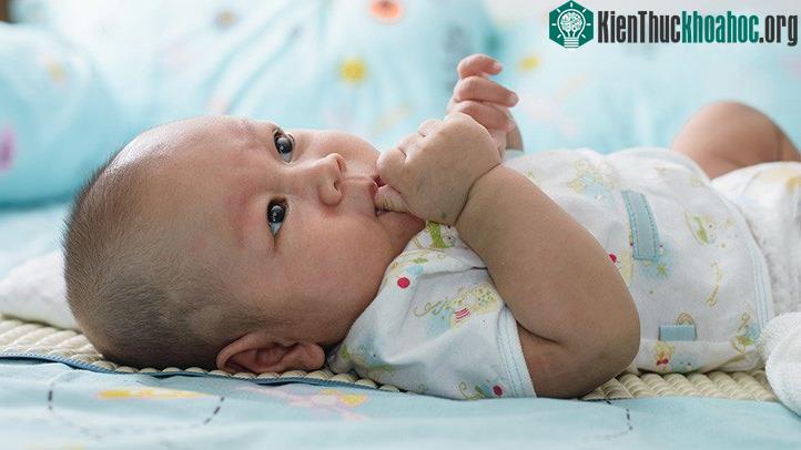 Hầu hết trẻ sơ sinh khi đói sẽ mút tay. (Ảnh: agoramedia).