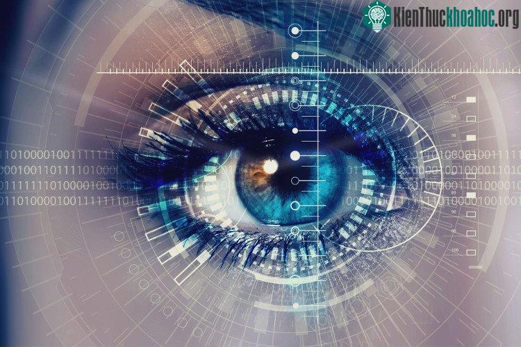 Bệnh thoái hóa võng mạc là nguyên nhân gây mù lòa phổ biến nhất ở những người trong độ tuổi thanh niên.