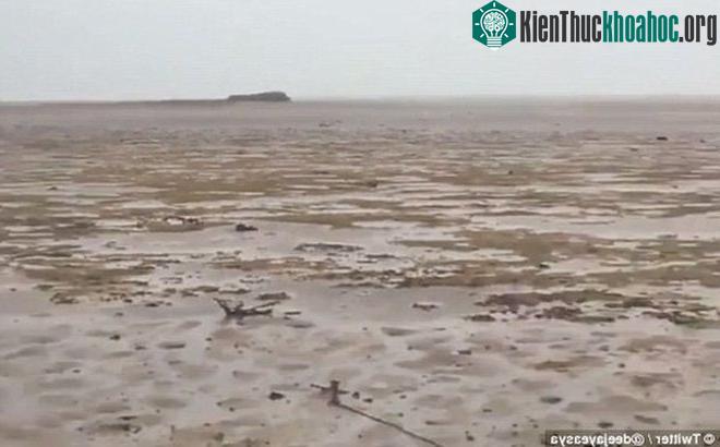 Bão Irma thay đổi tạm thời hình dạng của đại dương sau khi tấn công Bahamas hôm 8-9