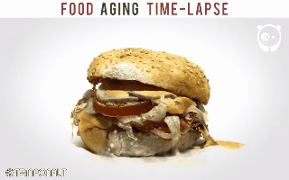 Bánh mì bị mốc