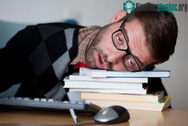 Ngủ ngon giấc trong thời buổi hiện tại là một điều không đơn giản