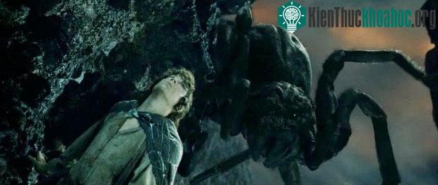 Nhện khổng lồ Shelob trong loạt phim kinh điển "Chúa tể của những chiếc nhẫn".