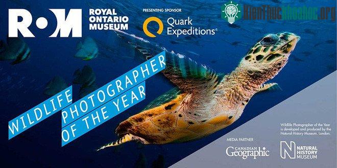 Wildlife Photograph of the Year - cuộc thi nhiếp ảnh uy tín của Bảo tàng tự nhiên lịch sử London.