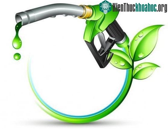 Nhiên liệu sinh học là loại nhiên liệu được hình thành từ hợp chất động thực vật...