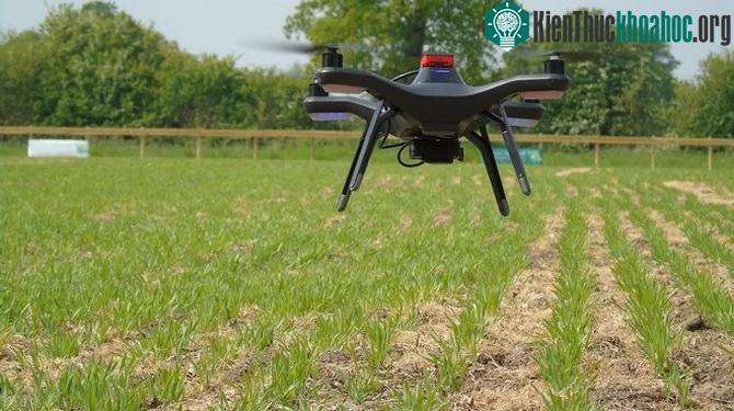 Trang trại Hands Free Hectare tại Vương Quốc Anh. (Hình ảnh: Đại học Harper Adams).