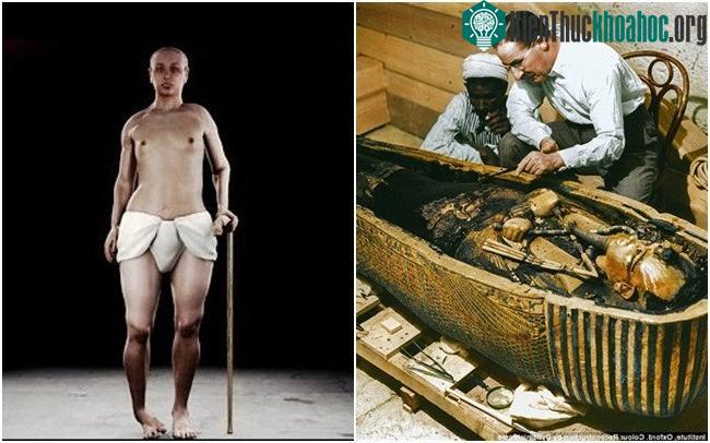 Pharaoh Tutankhamun - (Ảnh: Tahrirnews).