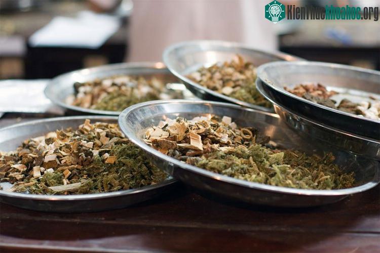 Cần các biện pháp mạnh hơn để ngăn chặn người dân sử dụng các loại axit aristolochic (AA).