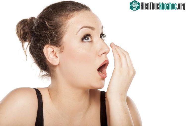 Tại Việt Nam, tỷ lệ lây nhiễm HP cao hơn nhiều, lên đến 70% ở người trưởng thành. (Ảnh minh họa: Health).