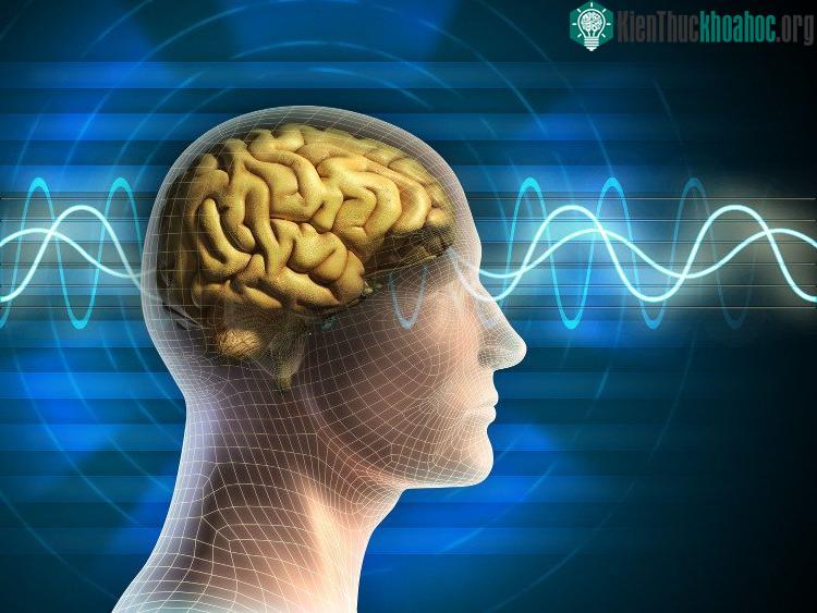 Thể xác và tâm thần có mối liên hệ chặt chẽ với nhau. (Ảnh: Internet).