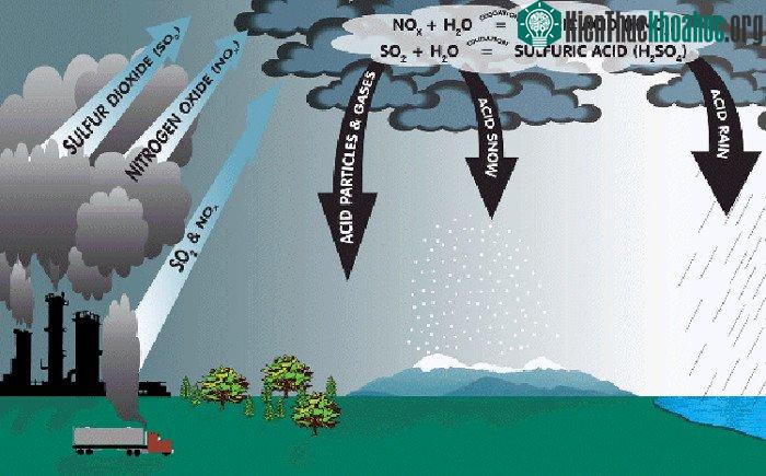 Hiện tượng mưa axit.