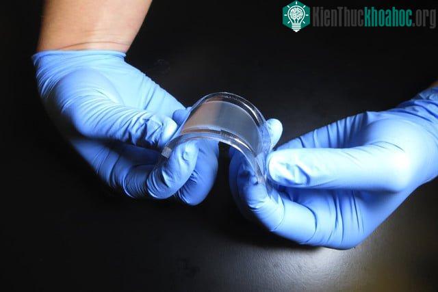 Thiết bị chỉ mỏng có 5 milimét mà tác dụng không thua kém gì một chiếc tủ lạnh mini