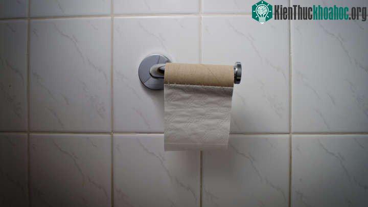 80% thành phần giấy vệ sinh là cellulose lấy từ cây cối, vậy nên đây là nguồn năng lượng có thể tái tạo.