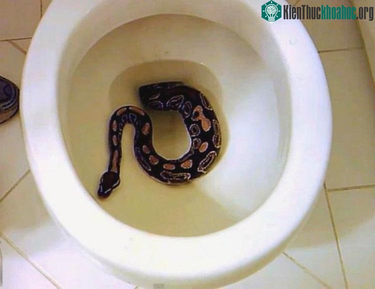 Phải chăng chỉ vì "chúng thích thì ghé thăm" thôi?