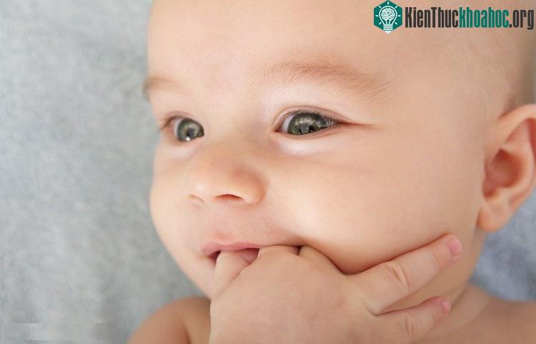 Trẻ lớn nhưng vẫn còn thói quen ngậm mút tay, cần có sự kiên nhẫn giúp bé bỏ dần.
