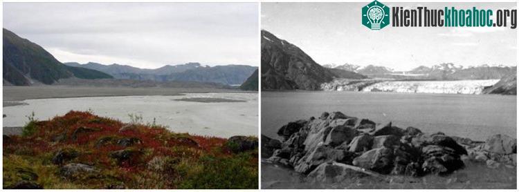Sông băng Carroll Glacier, Alaska