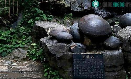 Các nhà khoa học chưa thể lý giải nguyên nhân vách đá "đẻ trứng". (Ảnh: Asiawire).