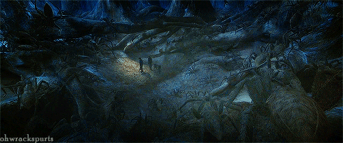 Hay đàn nhện khổng lồ con của Aragog trong Harry Potter.