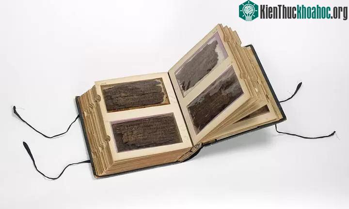 Bản thảo này được tạo thành từ hơn 70 mảng vỏ sần của thân cây bạch dương.
