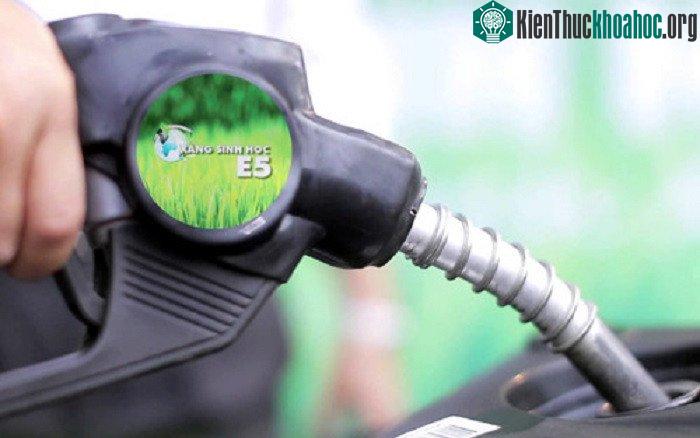 Nhiên liệu sinh học rất thân thiện với môi trường.