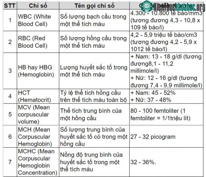 Ý nghĩa của các chỉ số thường gặp trong các kết quả xét nghiệm máu tổng quát.