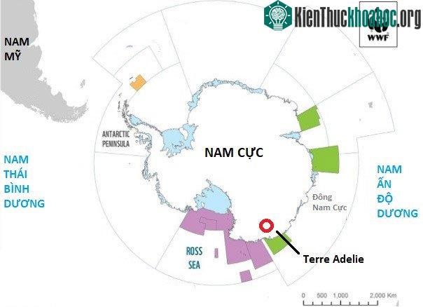 Vị trí Terre Adelie nơi thảm họa xảy ra. (Ảnh: CNN).