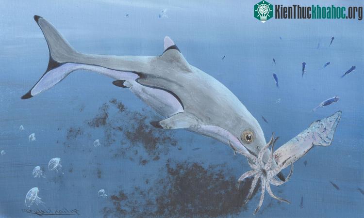 Ảnh mô phỏng một con Ichthyosaurus đang săn loài mực. (Ảnh Julian Kiely).