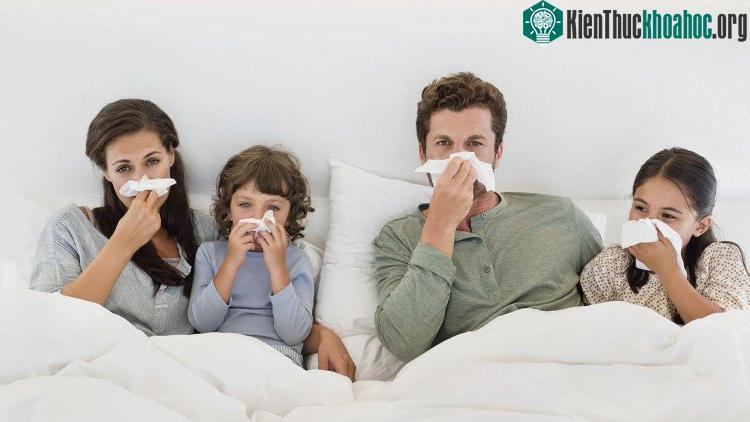 Cần lưu ý, không dùng kháng sinh khi bị cảm cúm do virus.
