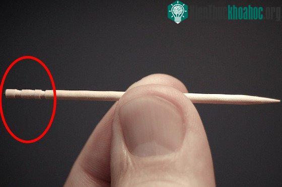 Những vòng ngấn tròn này có tác dụng gì?