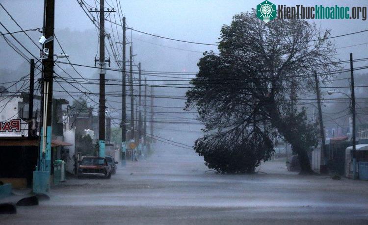 Bão Irma, 2017