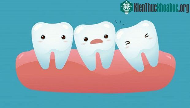 Rất nhiều bộ phận cơ thể chúng ta sẽ "tiêu tan" trong tương lai, và đó là... ảnh 2