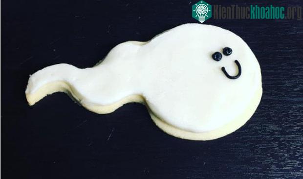 Nếu ở khu vực ấm áp như trên cơ thể, tinh trùng sẽ "thọ hơn" vài phút.