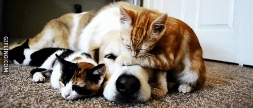Nhìn yêu nhau như thế này kia mà?
