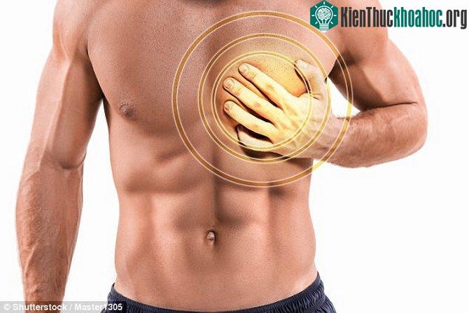 Máy quét sẽ chỉ hoạt động khi tim bạn còn đập.