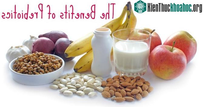 Một số nguồn prebiotic tốt nhất bao gồm chuối chín, hành, rau củ, atisô, tỏi tây, tỏi, cải bắp cải, táo...